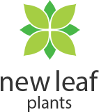 New Leaf Plants